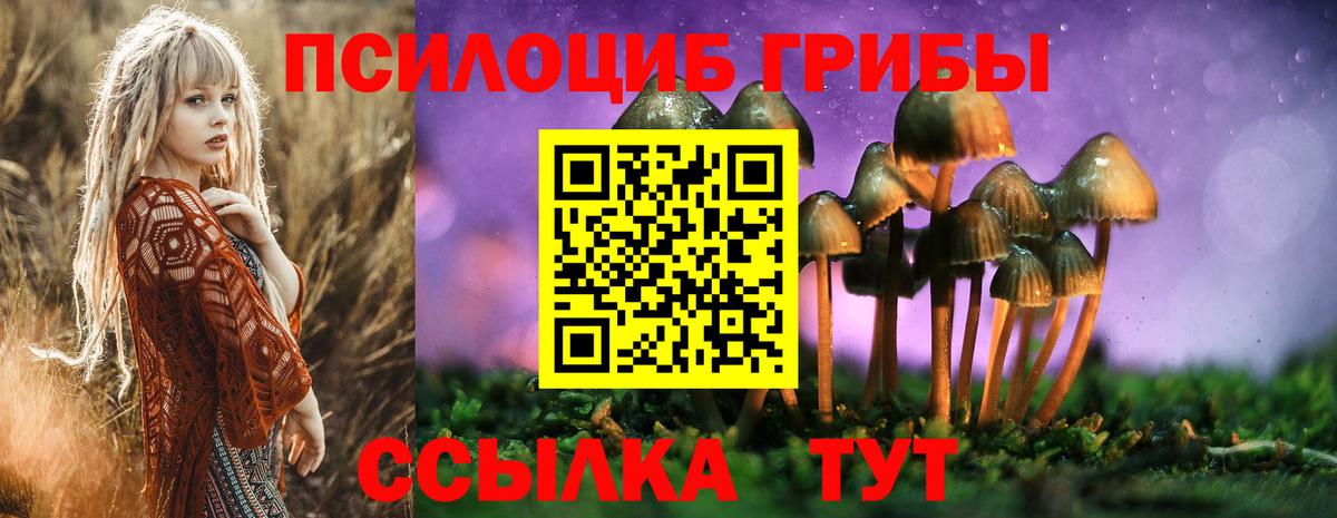 Псилоцибиновые грибы ЛСД Верхняя Пышма