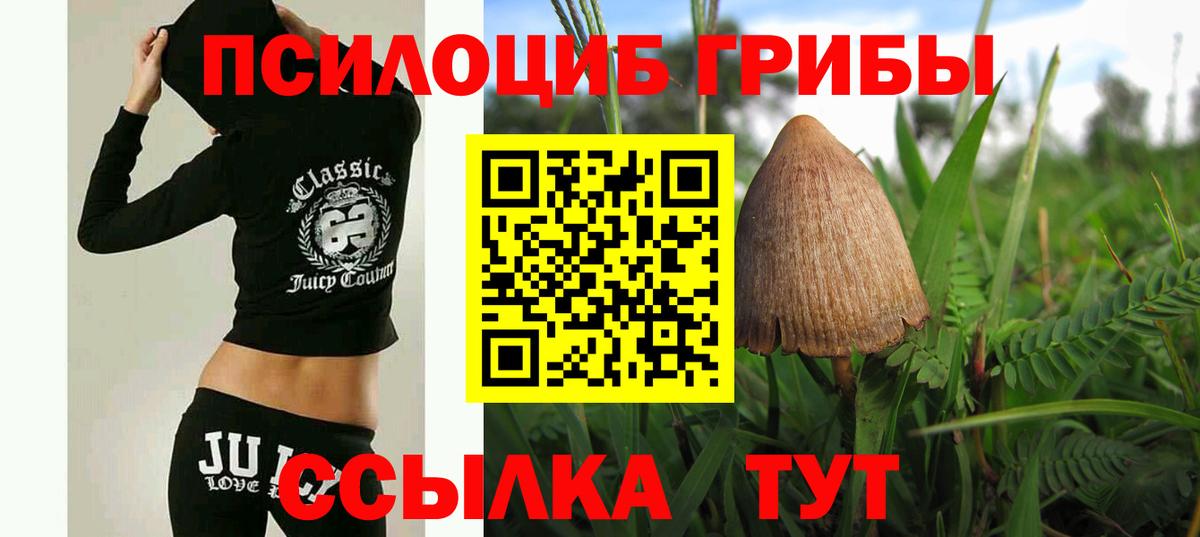 Галлюциногенные грибы GOLDEN TEACHER  Вход с VPN  Верхняя Пышма 
